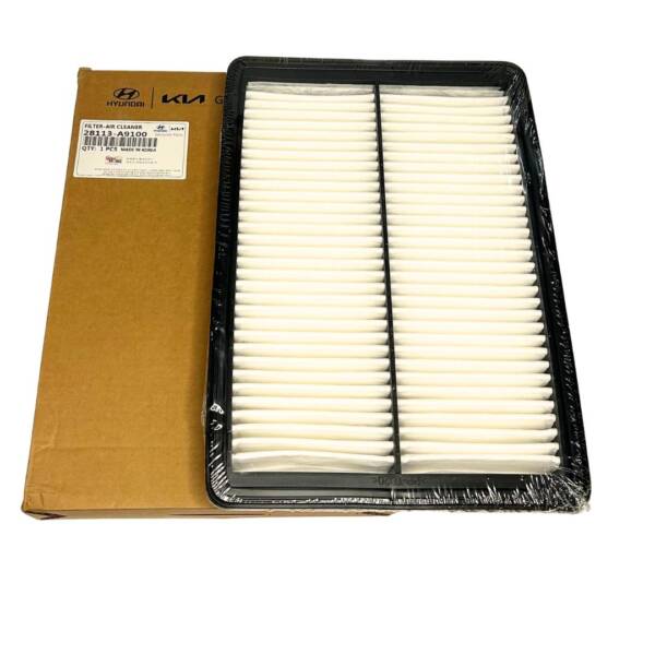 Carnival 3.3L 2019 Air Filter